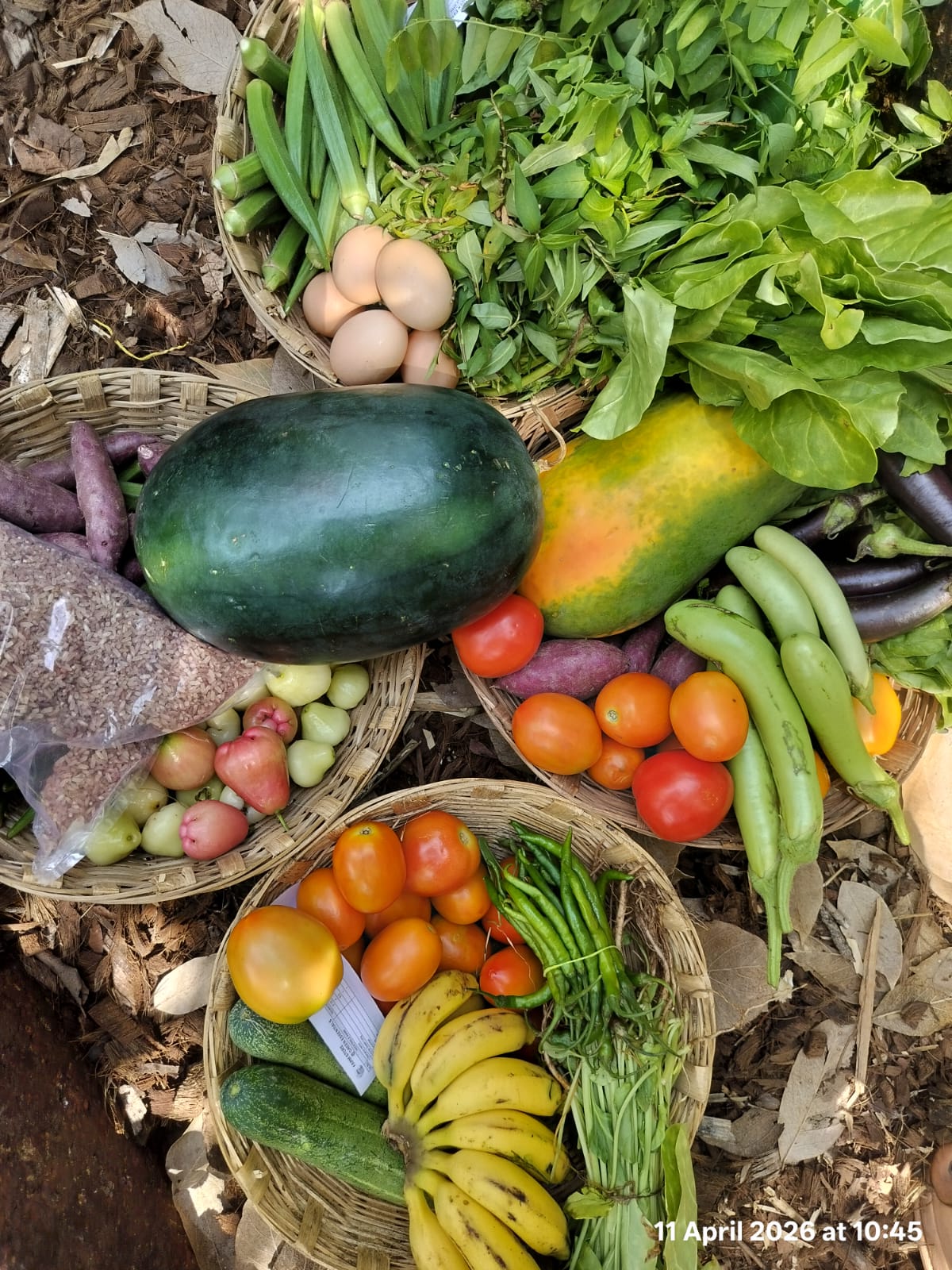 Fresh organic produce harvest from a farm-to-table operation